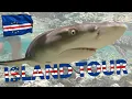 Download Lagu SAL Cape Verde - Island Tour - April 2024
