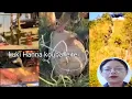 Download Lagu Kuki changsinba leptari lalgidamak channel ama faohanba viral chatta Kari mathou tai