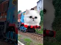 Kereta Api Tut Tut Tut, Kereta Api jadi Kepala Kucing Lucu #shorts