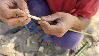new video 