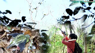 Survival in the wilderness with a slingshot สาวดอย เอาตัวรอดในป่าด้วยหนังสติ๊ก