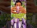 Download Lagu 3 Buah buahan paling mahal di dunia, Nomor 3 buah asli indonesia!!