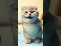 Download Lagu #funny #animals #cat #catlovers #popular #trending #shorts #cute #dance