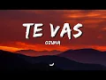 Ozuna - Te Vas [Lyrics•Letra]