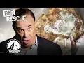 Bar Rescue s Dirtiest Bars SUPER COMPILATION