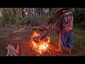 Download Lagu cozinhando mandioca milho e soja para os porcos