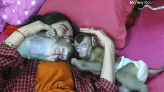 Baby Dodo and Mori Seeking Warm Comfort From Mom
