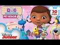 Download Lagu Pet Rescue | 30 Minute Compilation | Doc McStuffins | @disneyjr