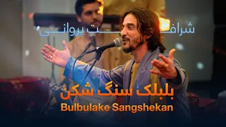 Sharafat Parwani Bulbulake Sangshekan Live In Concert شرافت پروانی بلبلک سنگ شکن 