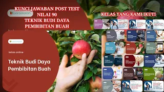 Download KUNCI JAWABAN POST TEST NILAI 90 TEKNIK BUDI DAYAPEMBIBITAN BUAH #posttest #prakerja2023 MP3