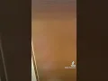 UPS Grinch Sighting in Greenville NC