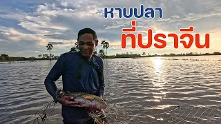น้ำท่วมจังหวัดปราจีนบุรี ทำให้ปลาหลุดบ่อออกมาจำนวนมาก วางข่ายจับ เอากลับแทบไม่ไหว