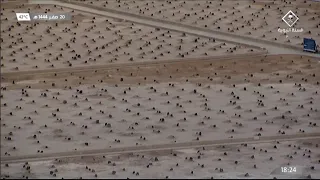 حديث معلق قناة السنة النبوية محمد الشاذلي عن مقبرة البقيع قبل أذان المغرب 20 صفر 1444هـ 