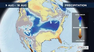 Monthly precipitation forecast for the USA 2026