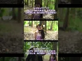 Download Lagu GAWATTT❗❗  RATU MERMAID KANZA DICULIK NENEK CAPING 😱 #vloganak #funny #aisyahkanza #gwsm