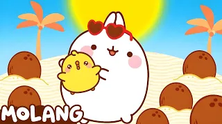 Molang | The Coconut 🌴 | Cartoons For Kids
