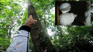 VOCÊ PASSA E NEM PERCEBE... O QUE TEM ALI!
