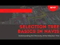 Selection Tree Basics in Navis