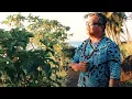 Download Lagu Lesā Lio Tuana'i - Fa'amoemoe O Oe (Taeao Manino) (Official Music Video)