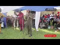 Download Lagu Ogoli nwanyi by Nnamdi Ewenighi featuring Ossy osina