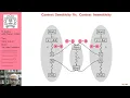 Lecture 11 Introduction to Pointer Analysis Part B