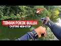 Lagu NON-STOP CASTING IKAN TOMAN