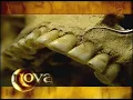Download Lagu Nova (SVT 2001-01-29)