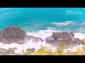 Download Lagu WEDI KELANGAN - TRIAS FERNANDES [Official Music Video]