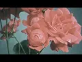 Stephen Sanchez - The Other Side (Lyric Video)