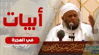 رفيقين حلا خيمتي أم معبد الشيخ مسعود المقبالي 
