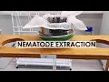 NEMATODE EXTRACTION BAERMANN FUNNEL METHOD