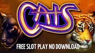 cats free slot play no download