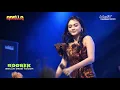 Download Lagu 11 cinta luar biasa  - arlida putri  //Om. ADELLA BODREK Dresi// 2019