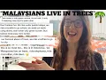 Lagu 🇲🇾 MALAYSIAN people live in TREES? BRUTAL lessons from Bali 🇮🇩 