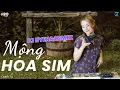 Download Lagu Mộng Hoa Sim Remix | DJ Hyena | Oanh Tạ | Chuyện hoa sim bên lưng đồi | DJ Hyena khi về già
