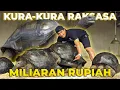 Lagu SATU-SATUNYA DI INDONESIA..!! KURA-KURA RAKSASA PALING RARE CUMAN ADA DISINI ❗😱