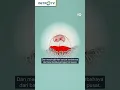 Download Lagu APA FUNGSI PLASENTA? #shorts