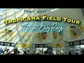 Visiting Tropicana Field Tampa Bay Rays St Petersburg FL