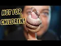 Don t get a Children s Python
