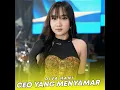 CEO YANG MENYAMAR