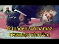 Download Lagu Jelal kary - Alladan utanmak barada