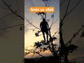 Download Lagu allah ya robbi mudahkanlah urusan kami lirik #shorts #allah #sholawat #islamicshorts
