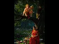 Download Lagu Ram kahani suno ri ram kahani #shreerambhaktisongs#shorts#