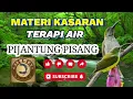 Lagu PIJANTUNG GACOR + SUARA AIR MENGALIR || MATERI KASARAN || MURAI BATU CUCAK IJO