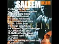 Download Lagu @full album salim IKLIM