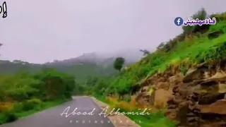 ابو بكر سالم سالت العين اين القلب سارح دندنها