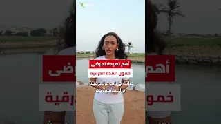 أهم خطوة لعلاج وتفادي التهاب الغدة الدرقية 