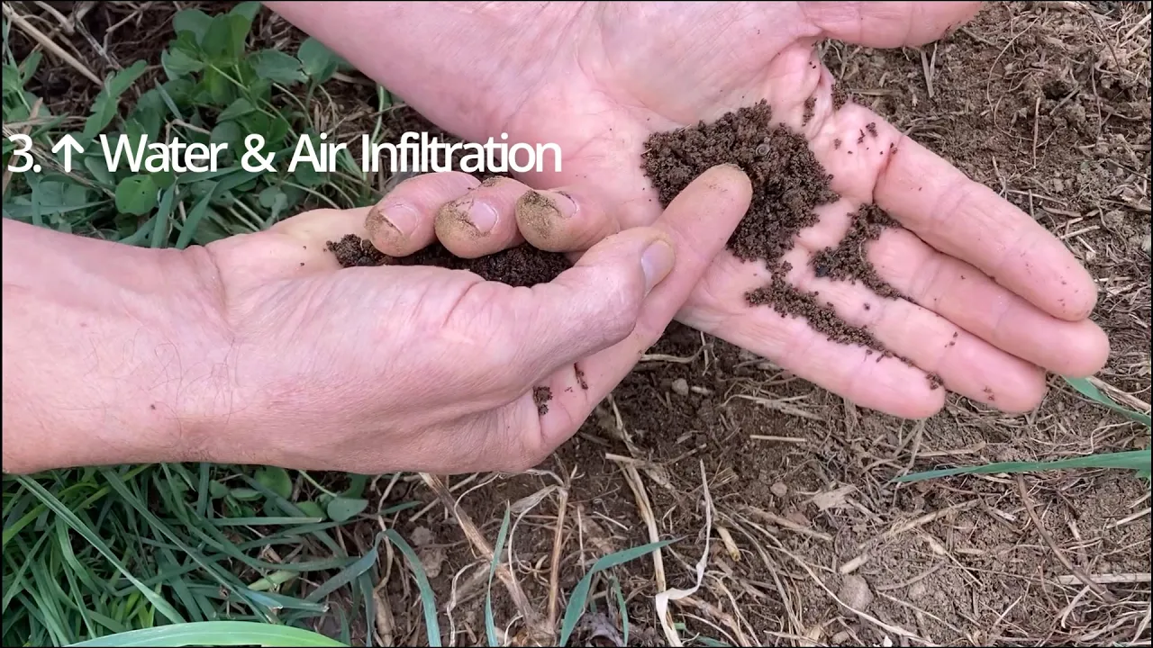 Six Reasons to Grow Cover Crops Just for Water & Air Alone!