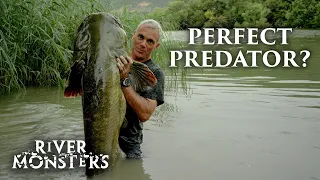 Every Time Jeremy Wade Has Described A Fish As ‘Perfect’ Or ‘Supreme’ | River Monsters