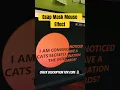 Gsap Mask Mouse Effect